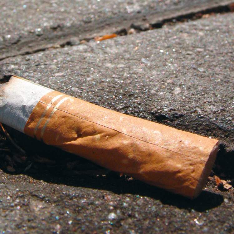 Haro sur les mégots - 2 !