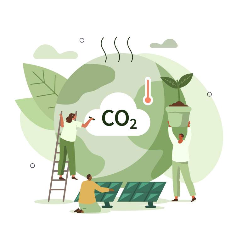 Visuel Pas à pas vers un développement durable