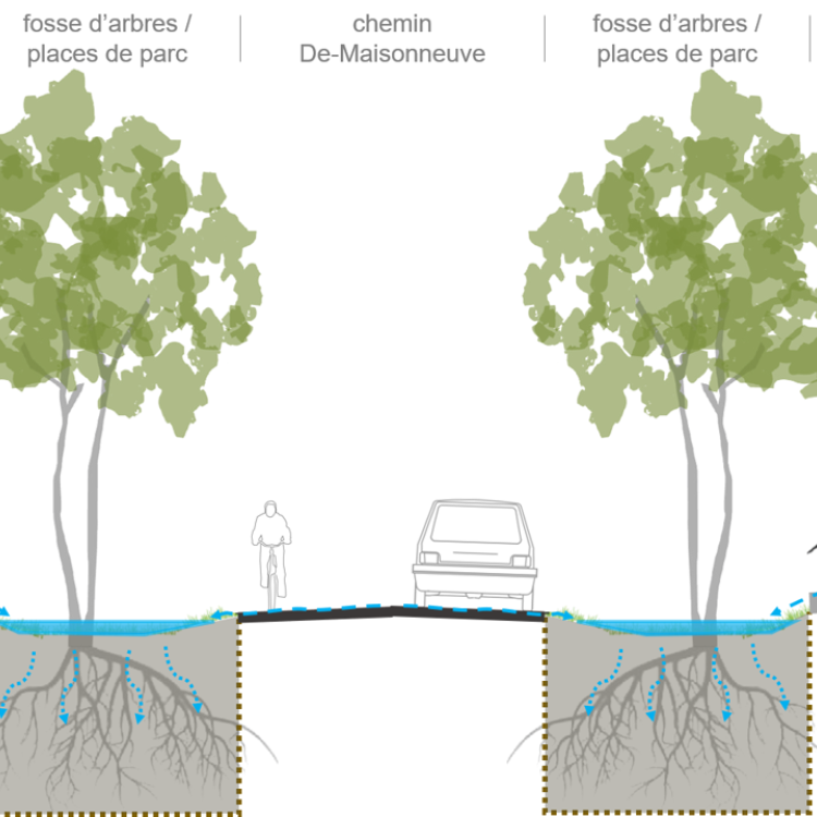 Illustration travaux chemin De-Maisonneuve