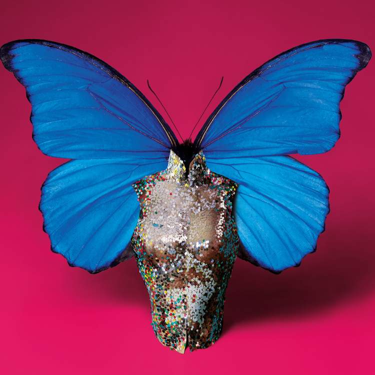 Visuel de la saison VernierCulture 2025-2026