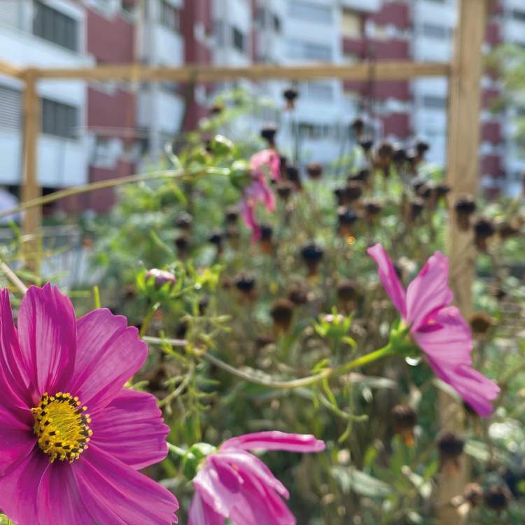 ActuVernier 2025 / n°6