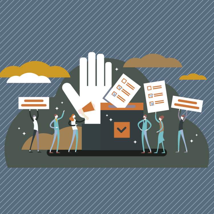 Séances information élections 11 novembre 2025