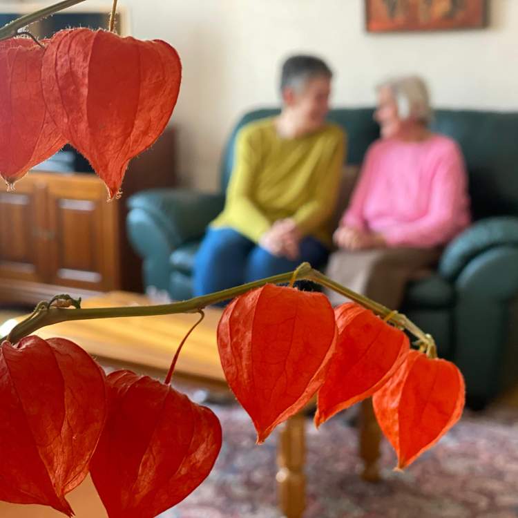 Alma et Sonya se retrouvent pour partager de bons moments