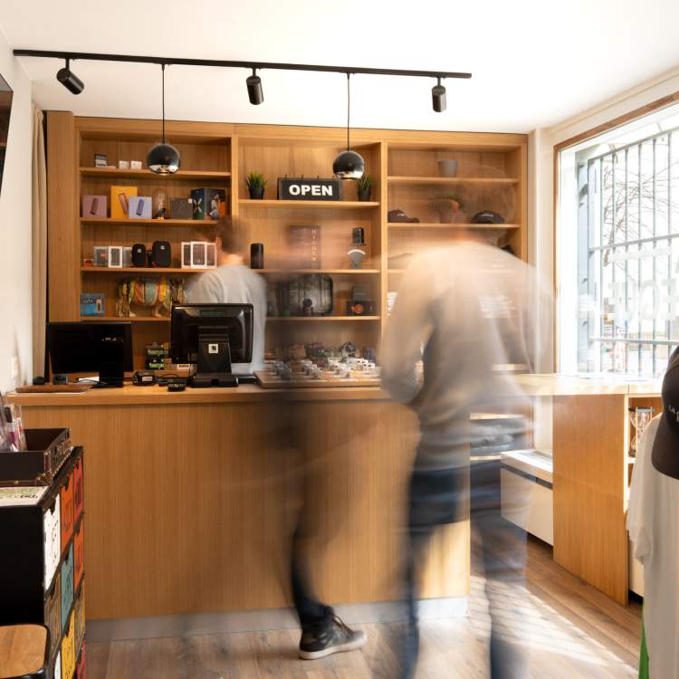 Les locaux de la Cannabinothèque à Châtelaine. © Aloïs Rigotti