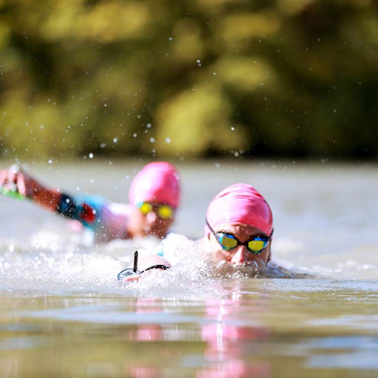 SwimRun 2026