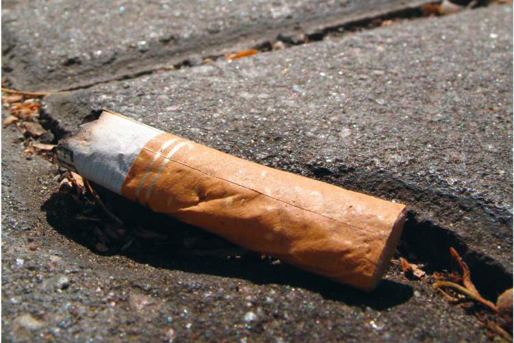 Haro sur les mégots - 2 !