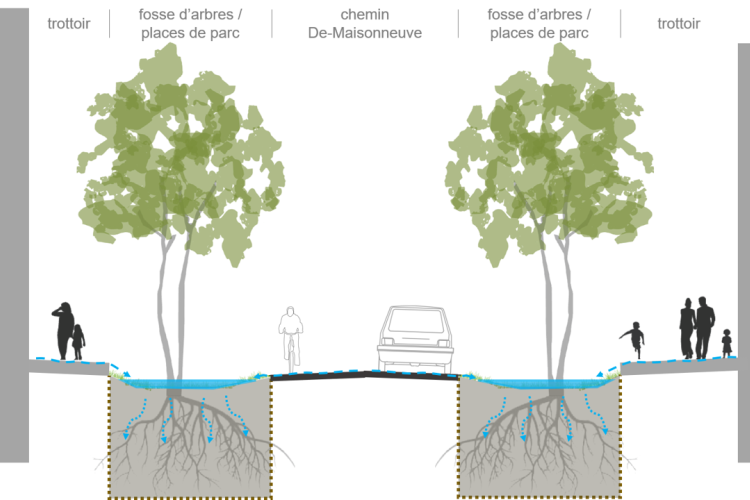 Illustration travaux chemin De-Maisonneuve