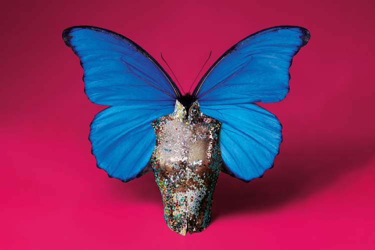 Visuel de la saison VernierCulture 2025-2026