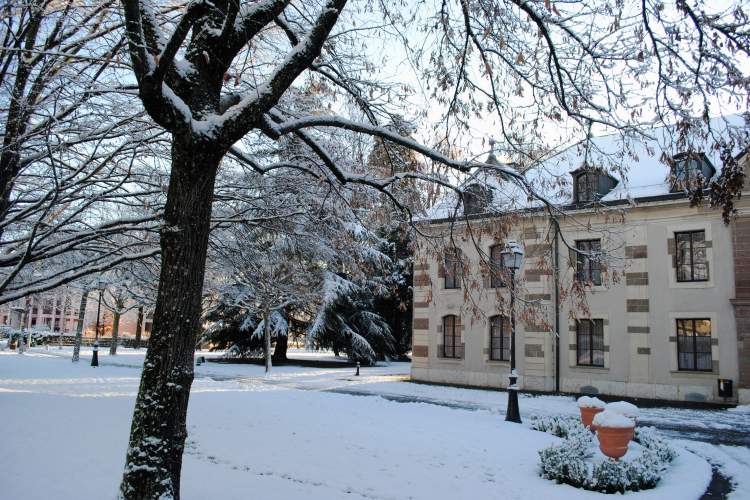 Mairie en hiver