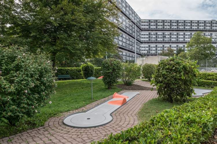 Mini-golf