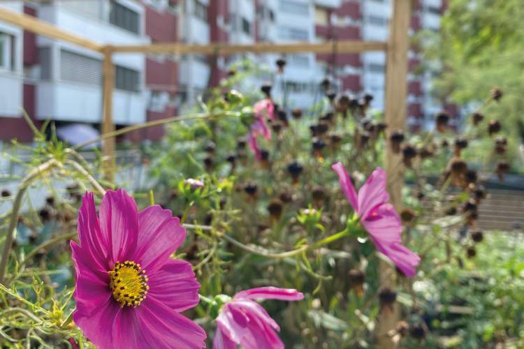 ActuVernier 2025 / n°6