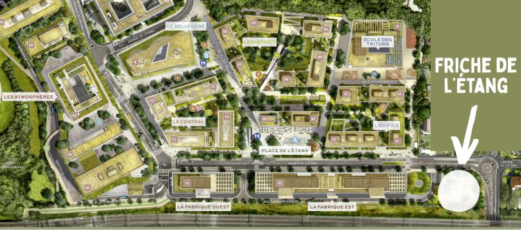 Emplacement Friche de l'Etang