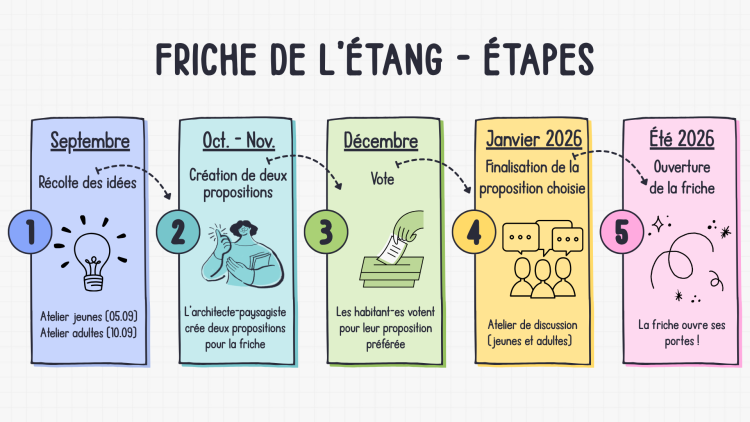 Friche de l'Étang - Étapes