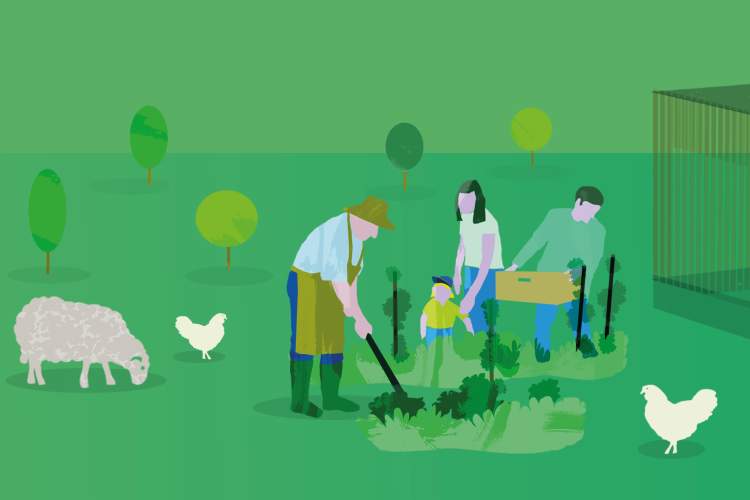 Visuel Fête du Printemps